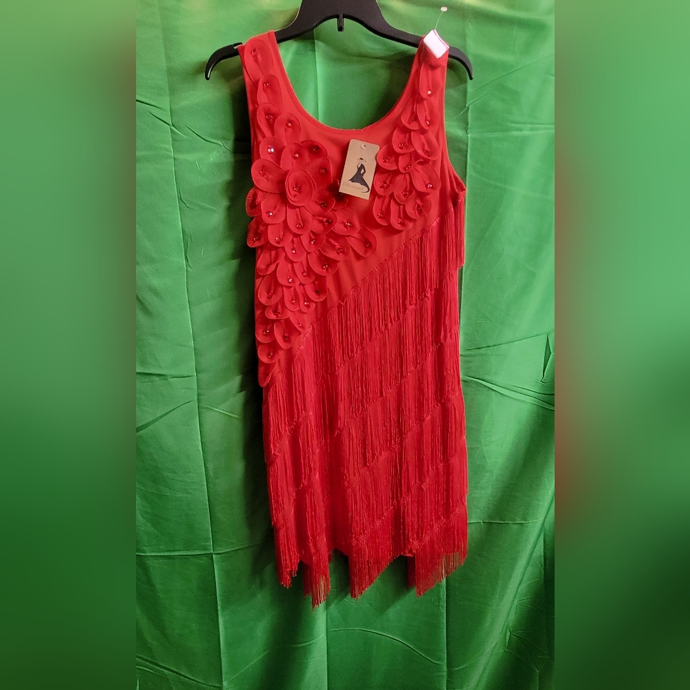 Elegant Red Fringe Dress